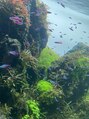 ケーグロウアップスタジオ セントラル治療院(K Glow UP Studio)&nbsp;水族館で癒されてます！