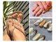 ファボ ネイル(FAV NAIL)の写真