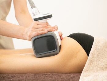 モンステラ(MONSTERA)/