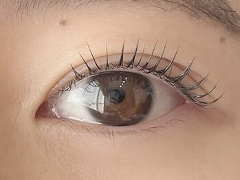 ビオラ 自由が丘(BIORA)の写真/【持続力UPのLEDエクステが人気！】圧倒的な持続力!どんなデザインでもお客様のなりたいお目元を叶えます★