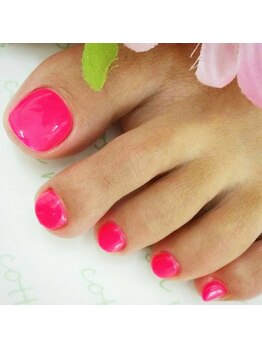 コットンローズ(Cotton Rose)/ネオンカラー