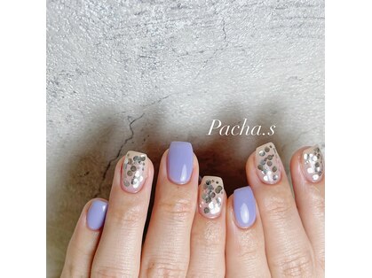 パシャ(Pacha)の写真