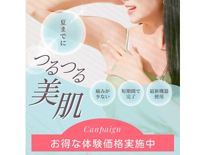 アイビーの写真