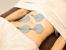 モンステラ(MONSTERA)/