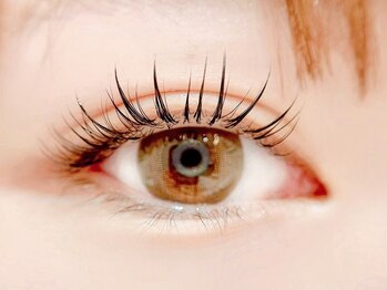 ノアラッシュ 茨木店(NOA lashes)/エクステ