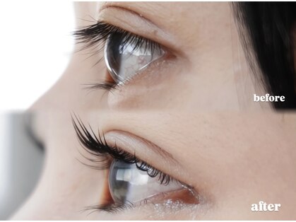 ステイゴールド(STAY GOLD)の写真