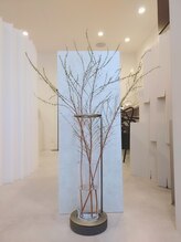 エミリアホワイトニング(EMIRIA WHITENING)/毎月変わる、季節を彩る枝もの