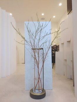 エミリアホワイトニング(EMIRIA WHITENING)/毎月変わる、季節を彩る枝もの