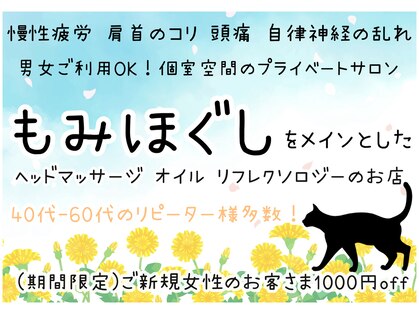 ほしねこの写真