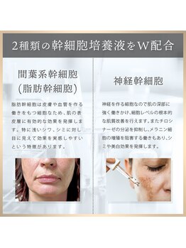 シミリセット 名駅(シミReset)/幹細胞培養液