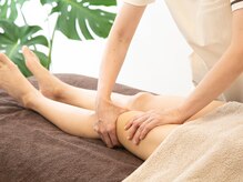 モンステラ(MONSTERA)/