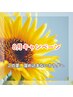 【8月限定】90分コース通常12,500円→7,500円〈5,000円OFF〉