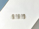 定額シンプルコース