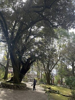 チェッコリ(CHECCOLY)/父と娘の公演を観に京都へ♪