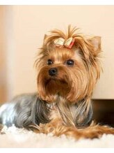 ロトスレイメイ&nbsp;山崎 なな