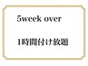 【5週以内ご来店がない方】1時間つけ放題