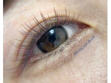 プルームミコ(Plume mico)/