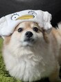 ティアム(tiam) ポメ飼ってます♪※お店にはいません。