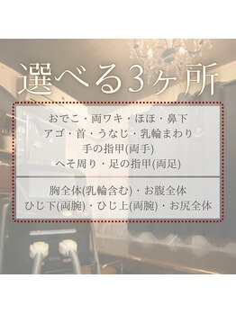 サロンドウルス(salon de ours)/メンズ 選べる2・3ヶ所 B