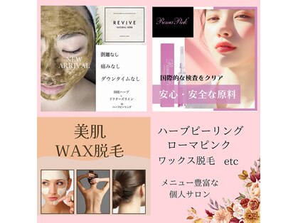 サクラ(SAKURA)の写真