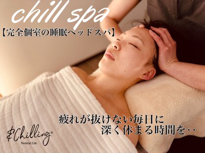 シップ(SHIP)の写真