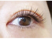 テイラー(Taylor)/フラットラッシュ120本　SONE