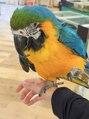 美人バスト 辻堂店 動物を触りに行った時の写真です♪