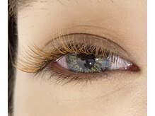 シック(Chic)/All brownつけ放題