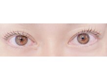 アイラッシュ ネイビー(eyelash navy)