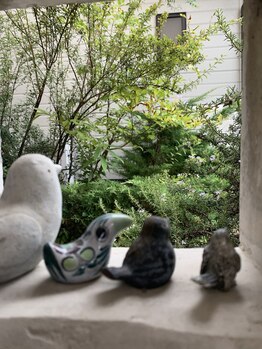 ソラチネ/サロン駐車スペース