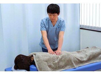 富山ふじい鍼灸整体院/腰の痛みに整体でアプローチ