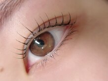 モンリーバイクヴェル(Monry by cvell)/上まつ毛パーマ