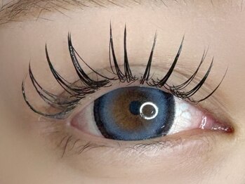 ラヴィアスプラス(LAVIAS+)/フラットラッシュ