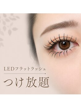 エール(Aile)の写真/付け放題で理想の形に！密度ある目元で華やかな印象へ導きます♪