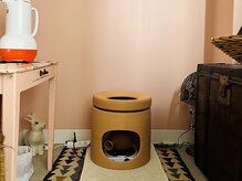 トナリ鍼灸院/黄土座椅子のよもぎ蒸し