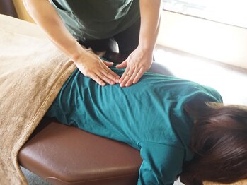 フィジカル整体 ボディーレ(Body Re)/からだの歪みをチェック