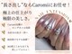 カロミ(Caromi)の写真