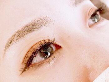 ループ(LOOP)/フラットラッシュ120本