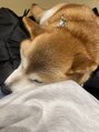王様の昼寝 中野店&nbsp;犬大好きです/ドライヘッドスパ/中野/眼精疲労/肩こり/睡眠