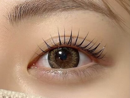 オット メメラボ(otto memelab)の写真