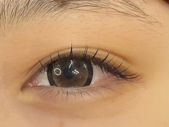 ラヴィシル 恵比寿(Ravicils)/フラットラッシュ 100本 恵比寿