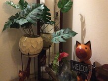 バリニーズサロン波音/バリ風の店内に癒されます
