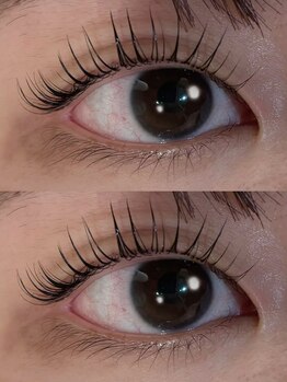 アイラッシュプラン 天王寺駅前店(eyelash plan)/韓国風パーマ