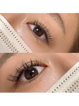 ダリア(Dahlia)/フラット140本★