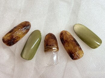 ボニータ(BONITA)/定額C べっ甲 ニュアンス