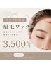 【！！当日予約限定！！】 眉毛ワックス6500円→3500円