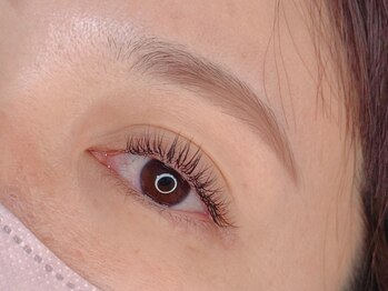 ミュゲ(Muguet)/水戸/まつげパーマ/マツパ/眉毛