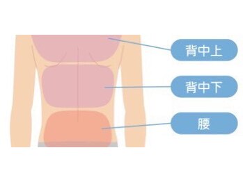 ボス 大垣店(BOSS)/ 【メンズ脱毛/上半身・背中下】