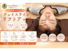 ココダヨ(cocodayo)