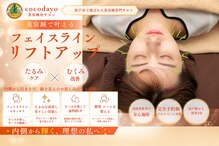ココダヨ(cocodayo)